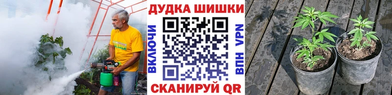 Цена Берёзовский Гашиш  А ПВП  АМФ  Псилоцибиновые грибы  Меф мяу мяу  Кокаин 