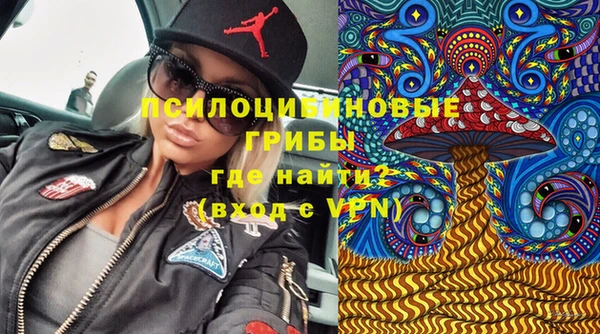 Альфа ПВП Алексин