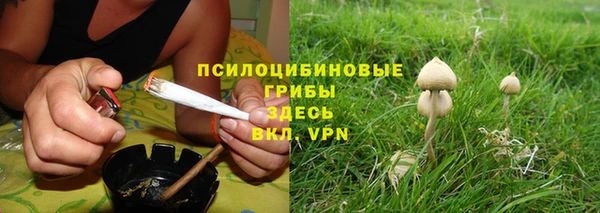 Альфа ПВП Алексин